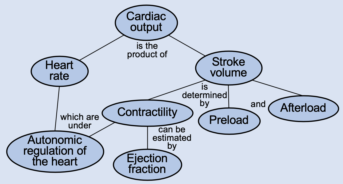 Cardiac Output 