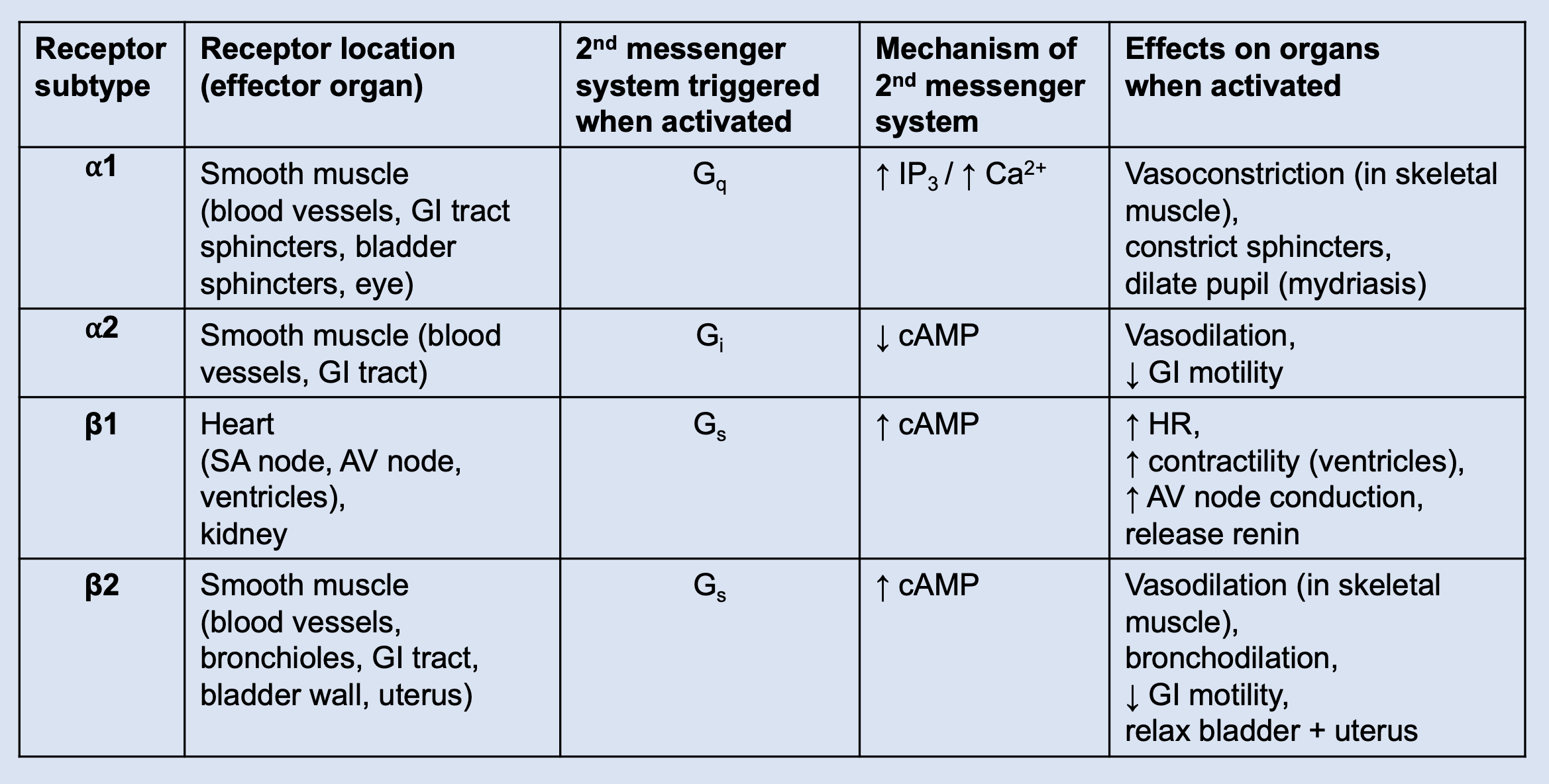 autonomic nervous system receptor chart